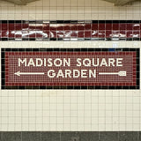 Madison Square Garden