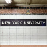 New York University