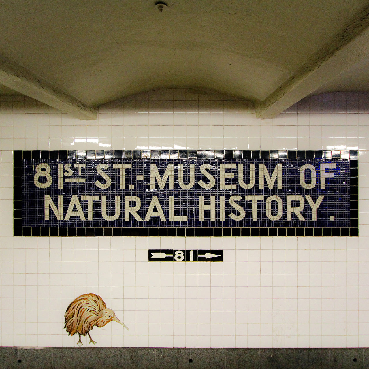 81st St - Museum of Natural History