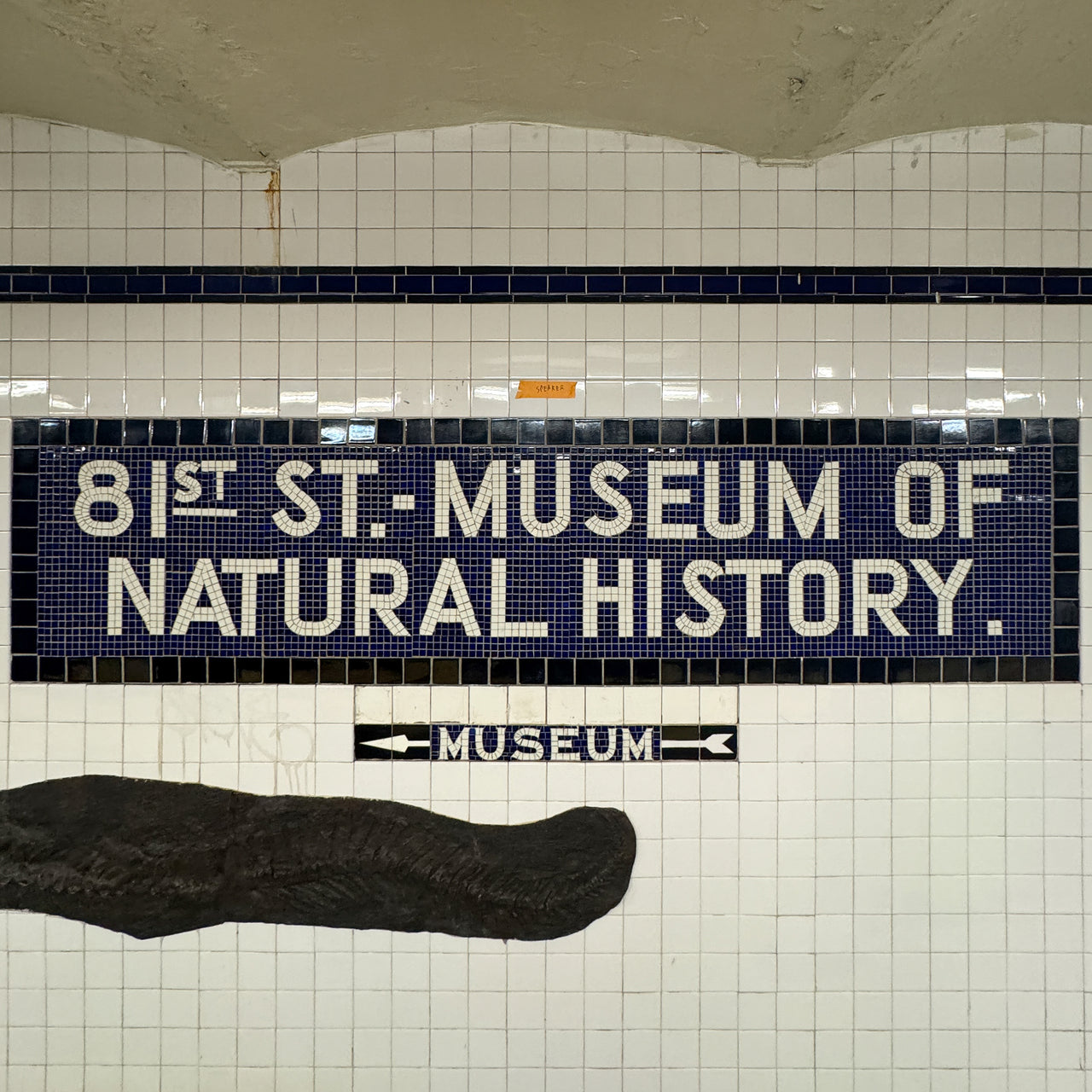 81st St - Museum of Natural History