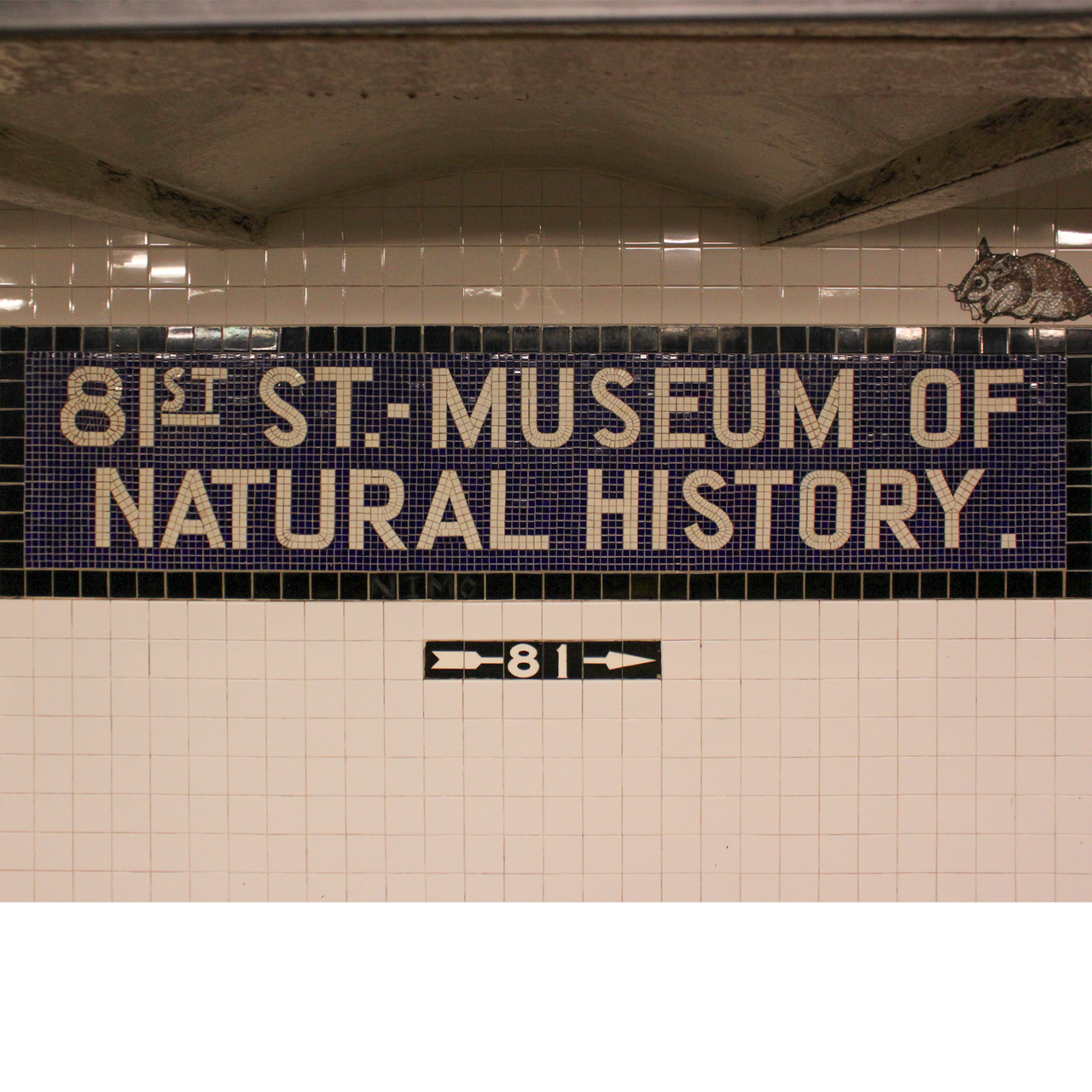 81st St - Museum of Natural History crewneck